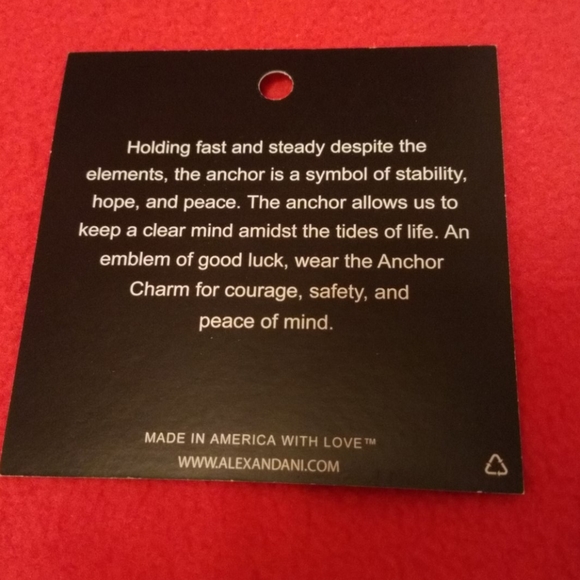 Alex and Ani Anchor Bracelet - Picture 3 of 3